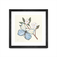 Œuvre d’art murale encadrée noire et mate « In The Garden Butterfly » 36 x 36