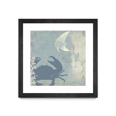 "Ocean Life Ii" Matted and Framed Black 36x36 Wall Art