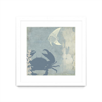 "Ocean Life Ii" Matted and Framed White 36x36 Wall Art