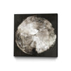 "Touch Of Darkened Silver" Canvas Framed Black 20x20 Wall Art