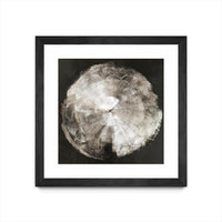 Œuvre d’art murale encadrée noire et mate « Touch Of Darkened Silver » 36 x 36