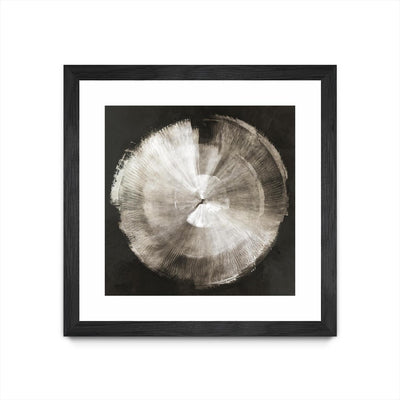 "Touch Of Silver" Matted and Framed Black 36x36 Wall Art