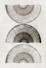 "Sophisticatted Lines I" Giant Art 72x48 Wall Art