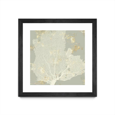 "Sea Coral I" Matted and Framed Black 30x30 Wall Art