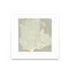 Œuvre d’art murale encadrée blanche et mate « Sea Coral I » 36 x 36