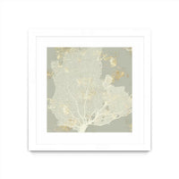 Œuvre d’art murale encadrée blanche et mate « Sea Coral I » 36 x 36