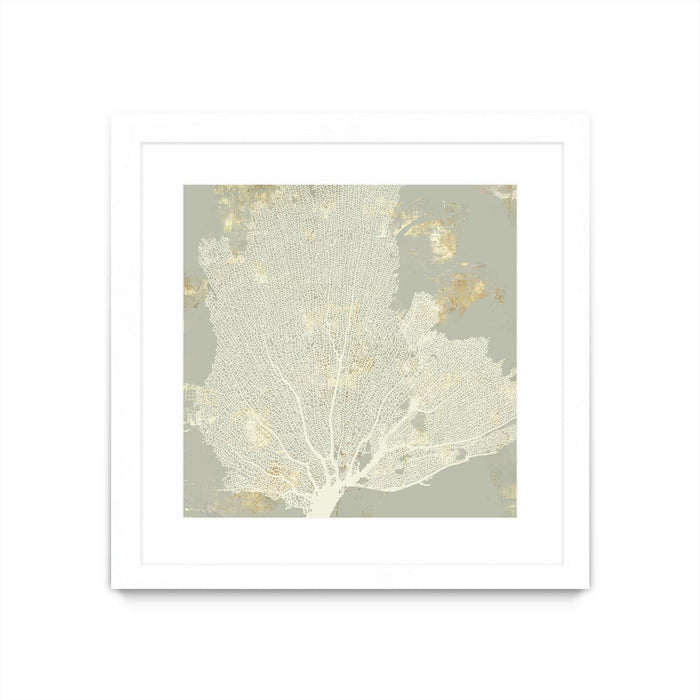 Œuvre d’art murale encadrée blanche et mate « Sea Coral I » 36 x 36