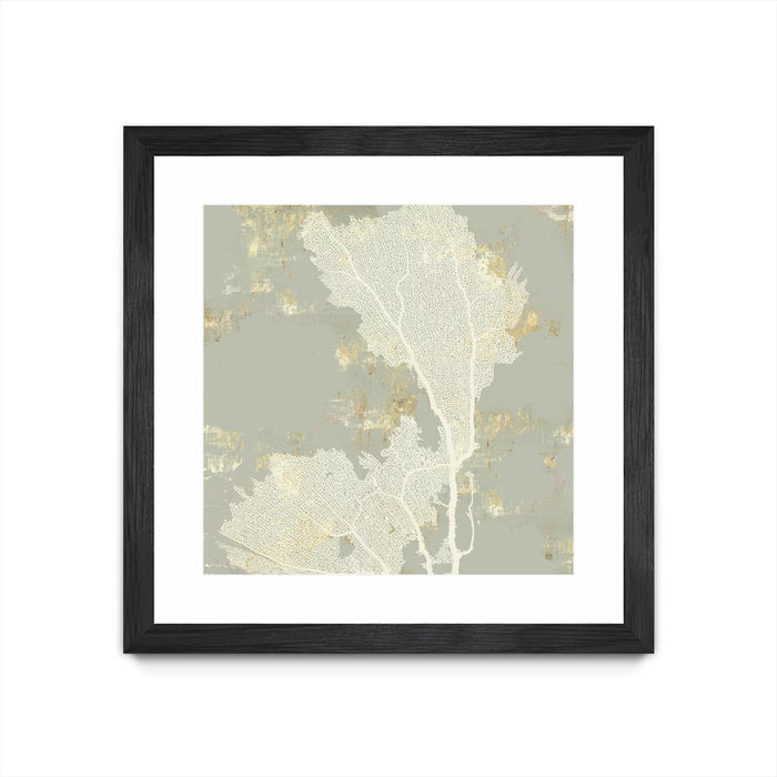 Œuvre d’art murale encadrée noire et mate « Sea Coral Ii » 36 x 36