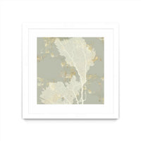 Œuvre d’art murale encadrée blanche et mate « Sea Coral Ii » 30 x 30