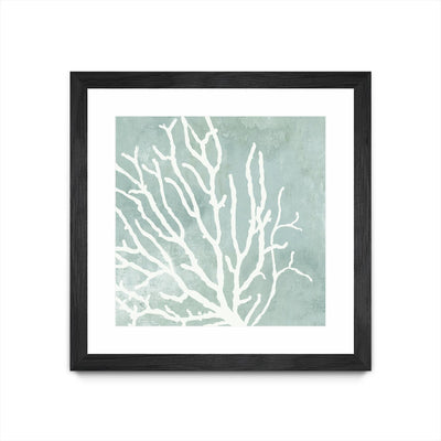 "Sea Crown I" Matted and Framed Black 30x30 Wall Art
