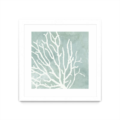 "Sea Crown I" Matted and Framed White 36x36 Wall Art
