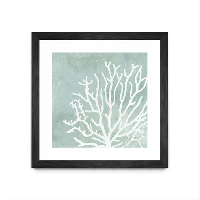 "Sea Crown Ii" Matted and Framed Black 36x36 Wall Art