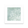 Œuvre d’art murale encadrée blanche et mate « Sea Crown Ii » 36 x 36