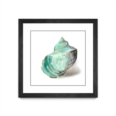"Shell In Mint" Matted and Framed Black 30x30 Wall Art
