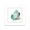 Œuvre d’art murale encadrée blanche et mate « Shell In Mint » 30 x 30