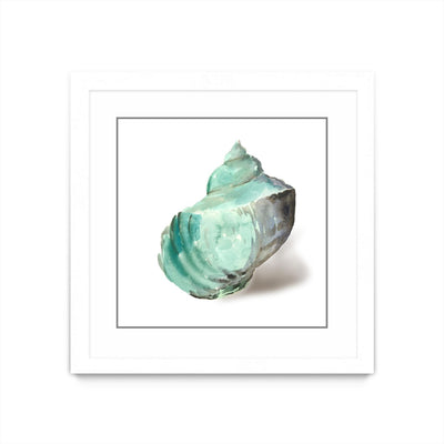 "Shell In Mint" Matted and Framed White 36x36 Wall Art