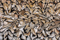 Œuvre d’art murale Giant Art « Pearson - Against The Grain » 72 x 48
