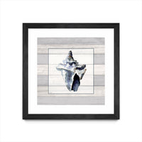 Œuvre d’art murale encadrée noire et mate « Muted Blue Sea Conch On Wood » 30 x 30