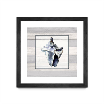 "Muted Blue Sea Conch On Wood" Matted and Framed Black 36x36 Wall Art