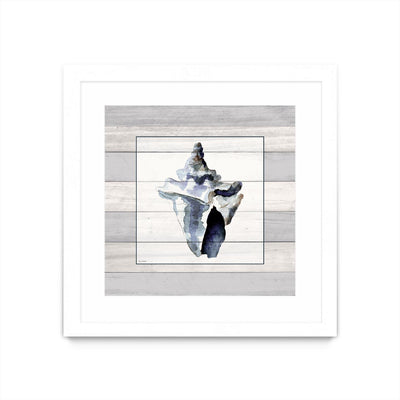 "Muted Blue Sea Conch On Wood" Matted and Framed White 36x36 Wall Art