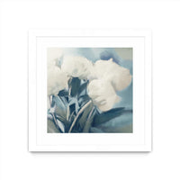Œuvre d’art murale encadrée blanche et mate « White Roses I » 36 x 36