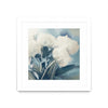 Œuvre d’art murale encadrée blanche et mate « White Roses I » 30 x 30