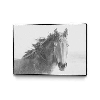 "Staredown" Canvas Framed Black 36x24 Wall Art