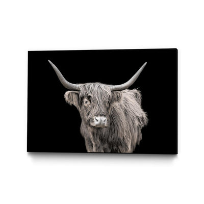 "A New Kid In Town" Canvas Framed Black 36x24 Wall Art