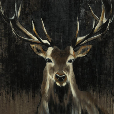 "Young Buck" Giant Art 54x54 Wall Art