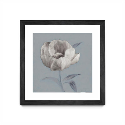 "Floral Symposium I" Matted and Framed Black 30x30 Wall Art