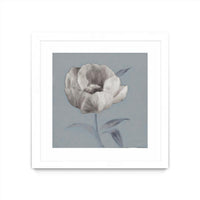 Œuvre d’art murale encadrée blanche et mate « Floral Symposium I » 30 x 30