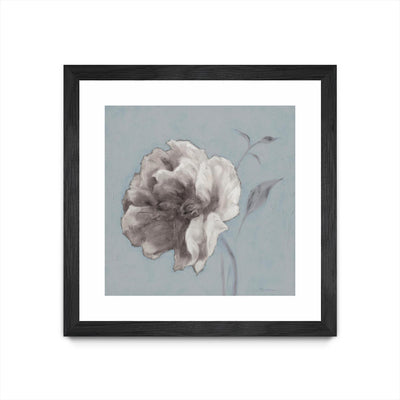 "Floral Symposium Ii" Matted and Framed Black 36x36 Wall Art