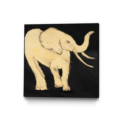 "Baby Elephant" Canvas Framed Black 20x20 Wall Art