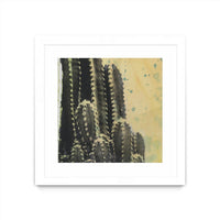 Œuvre d’art murale encadrée blanche et mate « Desert Dreams Iv » 30 x 30