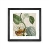 Œuvre d’art murale encadrée noire et mate « Cropped Turpin Tropicals Ii » 36 x 36