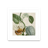 Œuvre d’art murale encadrée blanche et mate « Cropped Turpin Tropicals Ii » 36 x 36