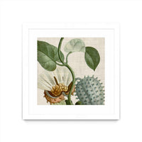 Œuvre d’art murale encadrée blanche et mate « Cropped Turpin Tropicals Ii » 30 x 30