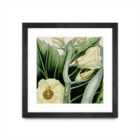 Œuvre d’art murale encadrée noire et mate « Cropped Turpin Tropicals Iii » 30 x 30