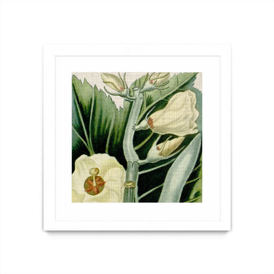 "Cropped Turpin Tropicals Iii" Matted and Framed White 36x36 Wall Art