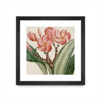 Œuvre d’art murale encadrée noire et mate « Cropped Turpin Tropicals Vii » 36 x 36