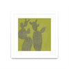 Œuvre d’art murale encadrée blanche et mate « Opuntia I » 30 x 30