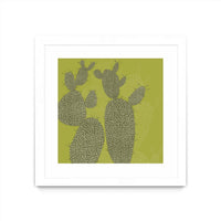 Œuvre d’art murale encadrée blanche et mate « Opuntia I » 30 x 30