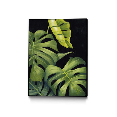 "Night Monsteras Ii" Canvas Framed Black 24x32 Wall Art