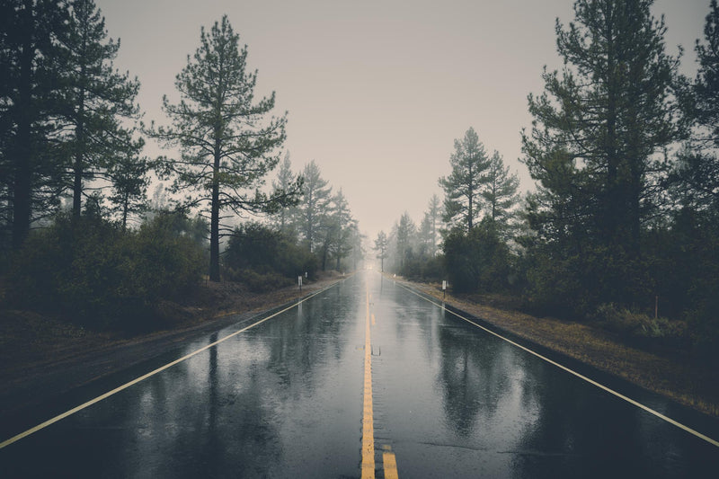 Œuvre d’art murale Giant Art « Rainy Day » 84 x 54