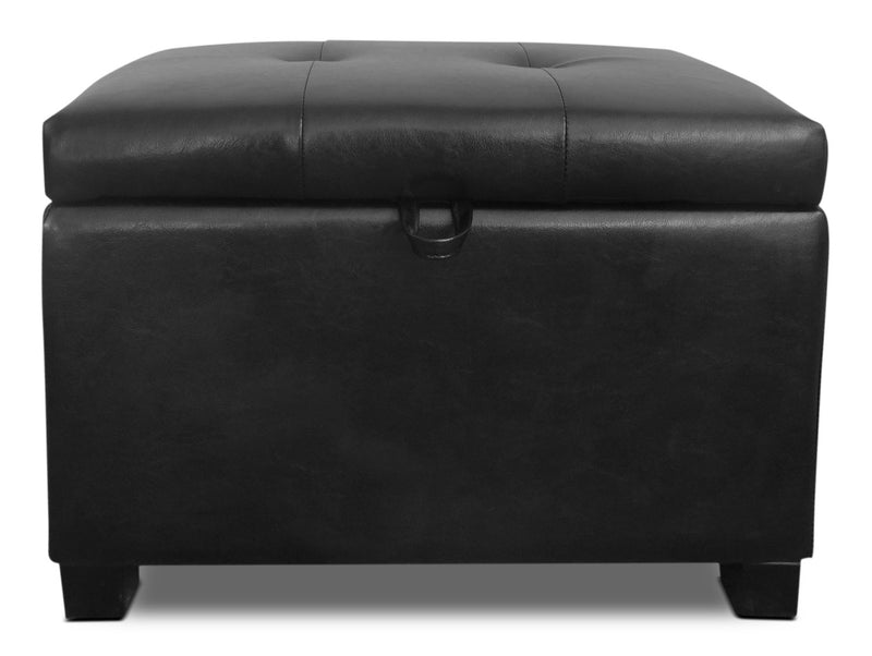 Pouf de rangement Isabela de 23 po