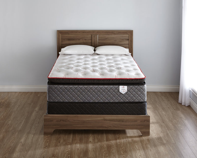 Matelas à Euro-plateau True North Whistler Chiropractic de Springwall pour lit simple