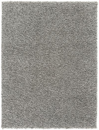 Carpette Dream grise - 3 pi 8 po x 4 pi 11 po