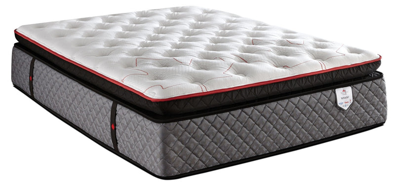 Matelas à Euro-plateau True North Whistler Chiropractic de Springwall pour lit simple