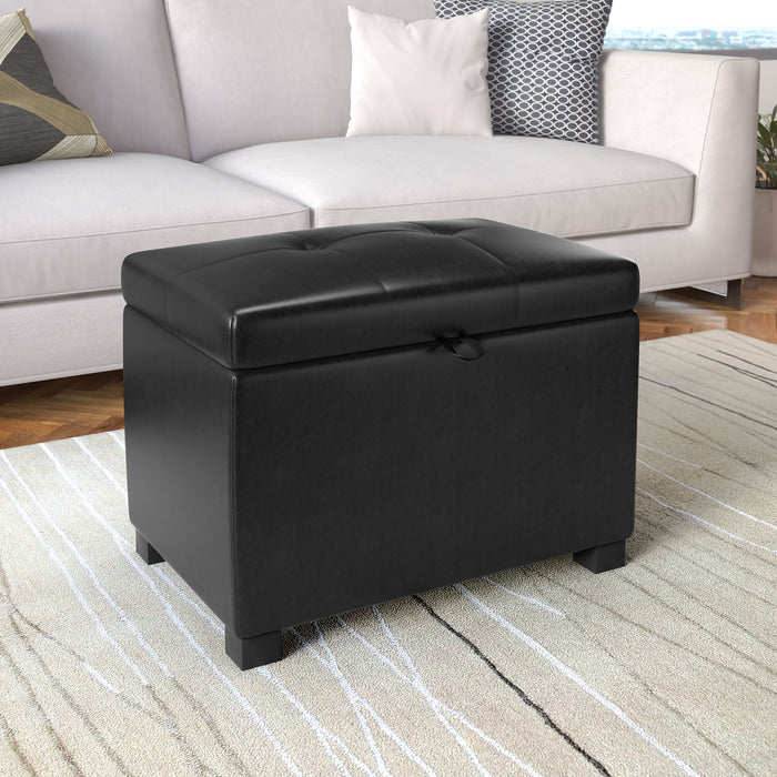 Pouf de rangement Isabela de 23 po