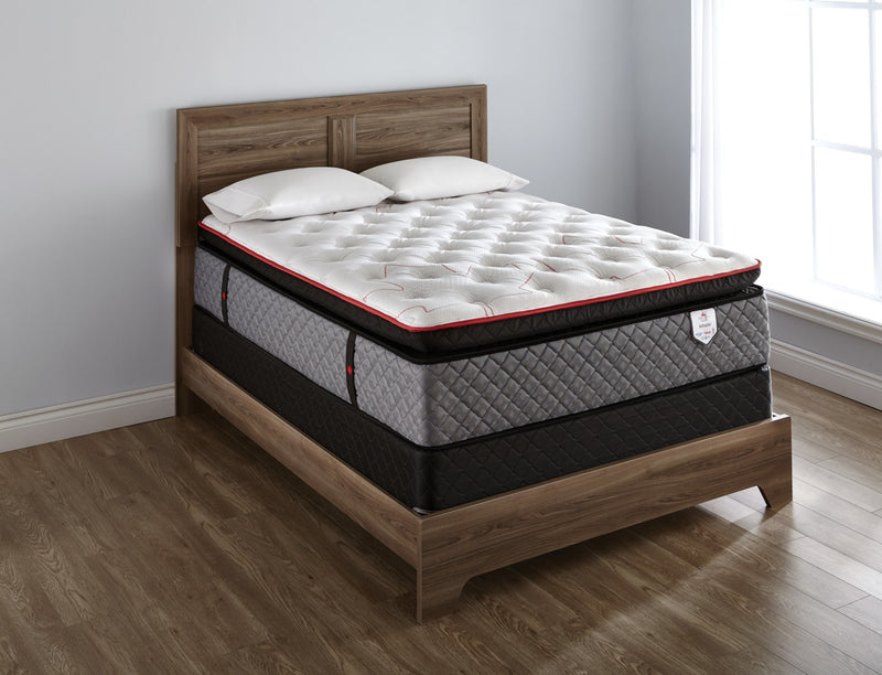 Matelas à Euro-plateau True North Whistler Chiropractic de Springwall pour lit simple